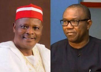 Kwankwaso leads as LP/ NNPP committee files report