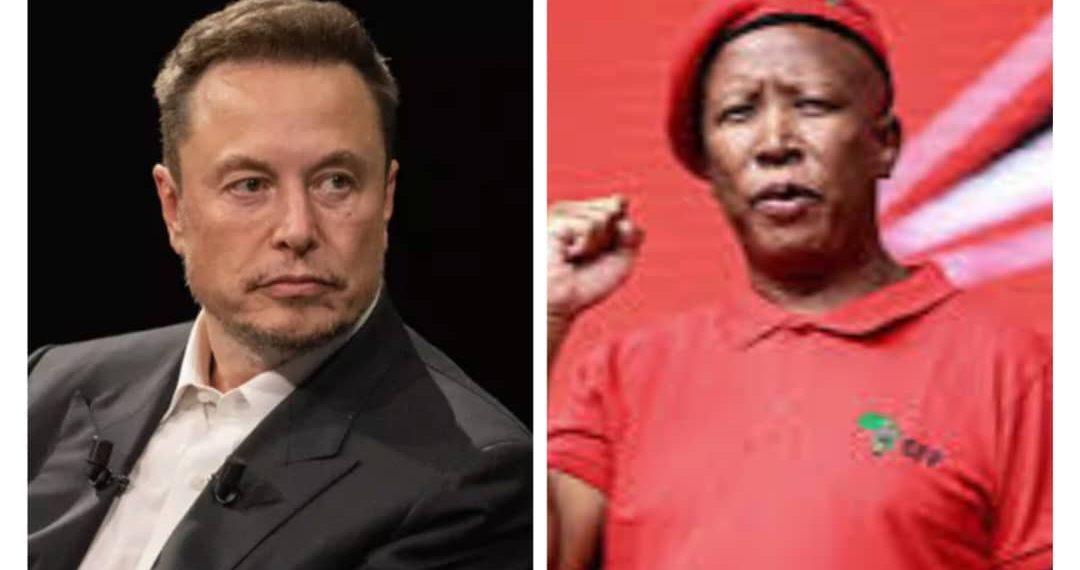 Malema rallies support following online spat with Elon Musk