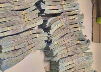 Customs seizes over $1.1 Million, SR135,900 hidden inside Dabino at Kano Airport