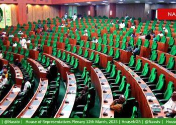 Lawmakers approve new VAT sharing system for Nigerian states
