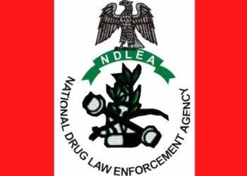 NDLEA burst Nigerian drug syndicate, arrests two, recovers huge amount of hard drugs