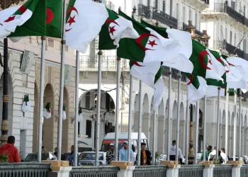 Algeria jails three former presidential hopefuls for election fraud 