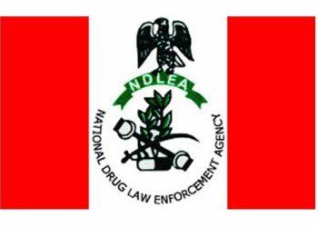 Apapa port: 14 containers of illicit drugs seized in one year– NDLEA